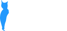 Logo Dierenarts Demasure